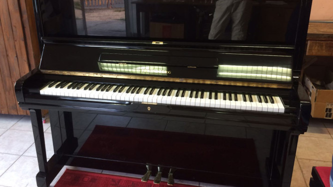 Strindberg E- 401 – VENDUTO Strindberg E- 401 – VENDUTO